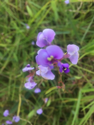 Hearts Across Australia Week 16 photo from 9 Sep 2015.