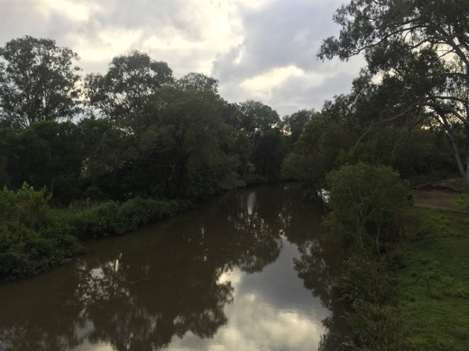 Trees reflected in a creek beside the route.