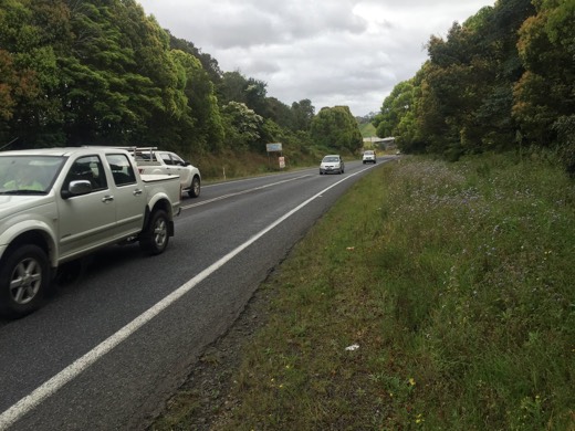 Traffic passing close to the verge on the Pacific Highway.