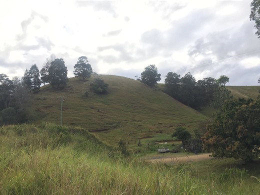 Rolling green hills beside the route towards Byron Bay.