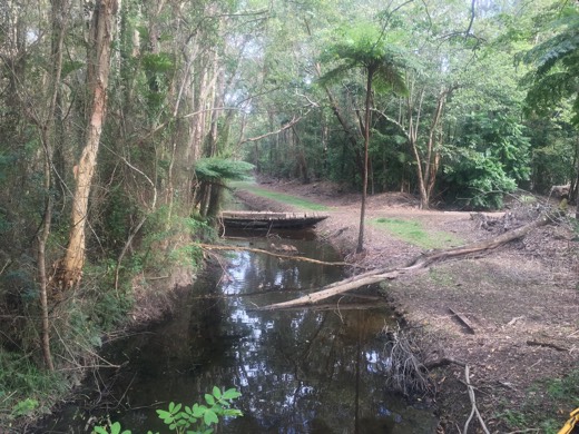 A shaded creek beneath trees beside the Day 119 route.