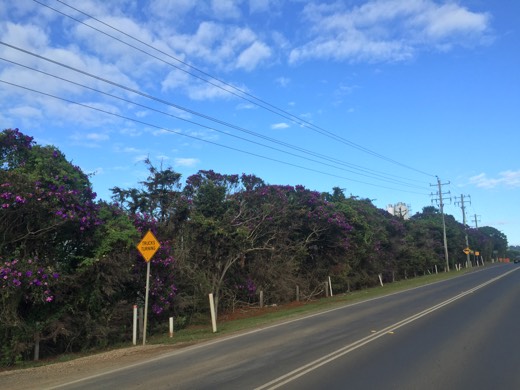 Hearts Across Australia Week 18 photo from 12 Sep 2015.