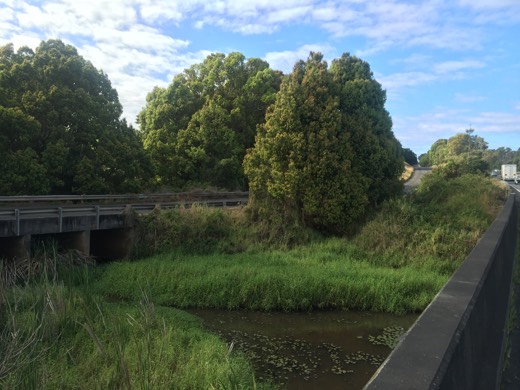 Hearts Across Australia Week 18 photo from 12 Sep 2015.