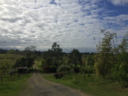 Hearts Across Australia Week 18 photo from 12 Sep 2015.