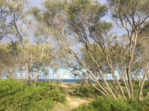 Hearts Across Australia Week 18 photo from 12 Sep 2015.