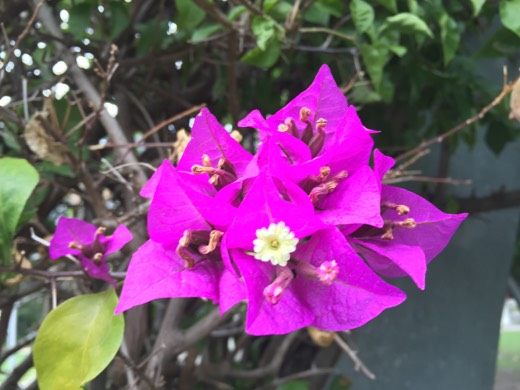 Hearts Across Australia Week 18 photo from 18 Sep 2015.