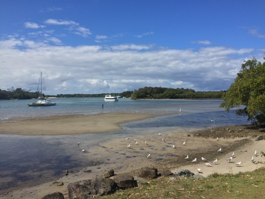 Hearts Across Australia Week 18 photo from 13 Sep 2015.