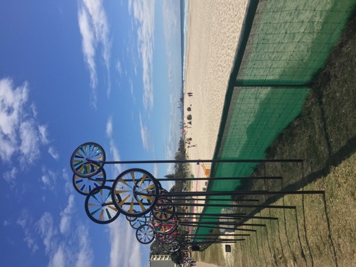 Hearts Across Australia Week 18 photo from 14 Sep 2015.
