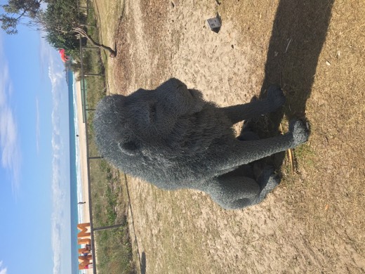 Hearts Across Australia Week 18 photo from 14 Sep 2015.