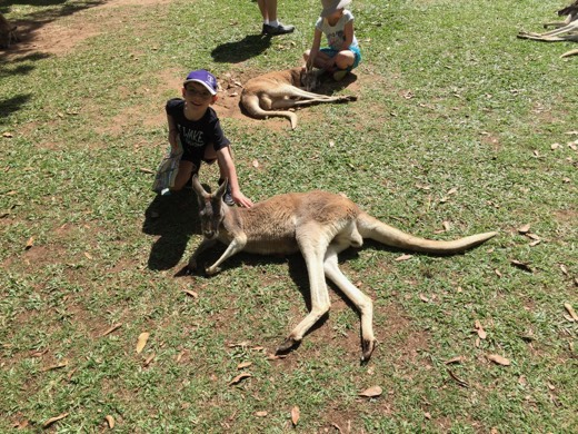Gary's son beside a kangaroo at Australia Zoo.