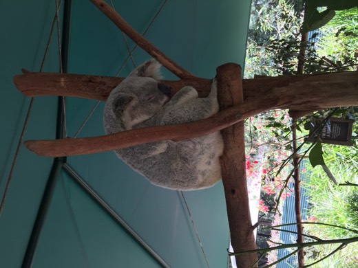 Hearts Across Australia Week 19 photo from 20 Sep 2015.