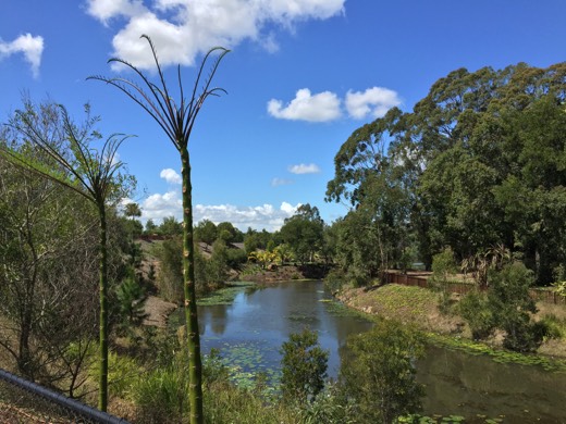 Hearts Across Australia Week 19 photo from 20 Sep 2015.